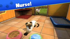 PetWorld: My animal shelter ekran görüntüsü APK 20