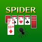 Ikona Spider Solitaire gra karciana