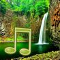 Εικονίδιο του Jungle Sounds - Nature Sounds apk
