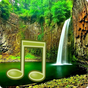 Jungle Sounds - Nature Sounds apk icon