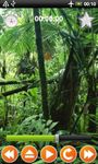 Jungle Sounds - Nature Sounds εικόνα 