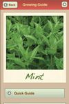 Imagem 10 do Grow Organic Herbs FREE