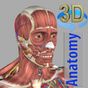 Ícone do 3D Anatomy