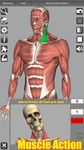 3D Anatomy ekran görüntüsü APK 14