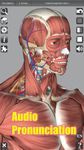 3D Anatomy zrzut z ekranu apk 10