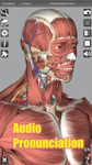 3D Anatomy zrzut z ekranu apk 4