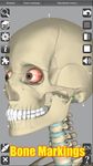 3D Anatomy zrzut z ekranu apk 3