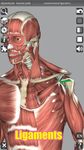 Скриншот 2 APK-версии 3D Anatomy