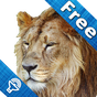 Kids Zoo, animal sounds & pictures, games for kids apk icon