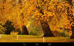 Autumn Wallpaper image 9