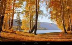 Autumn Wallpaper image 8