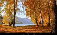 Herbst wallpaper Bild 2