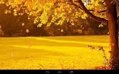 Herbst wallpaper Bild 1