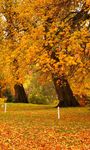 Autumn Wallpaper image 14