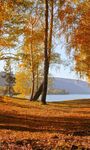 Herbst wallpaper Bild 11