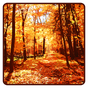 Autumn Wallpaper apk icon