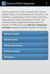 HTML5 Supported for Chrome? image 3