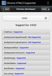 HTML5 Supported for Chrome? image 10