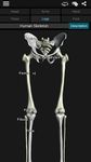 Скриншот 12 APK-версии Кости человека 3D (анатомия)
