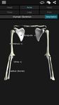 Captură de ecran Bones Human 3D (anatomy) apk 11