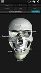 Captură de ecran Bones Human 3D (anatomy) apk 10