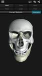 Captură de ecran Bones Human 3D (anatomy) apk 8