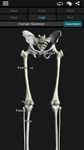 Captura de tela do apk Bones Humano  3D (anatomia) 4