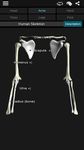 Скриншот  APK-версии Кости человека 3D (анатомия)