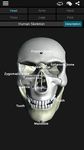 Captură de ecran Bones Human 3D (anatomy) apk 2