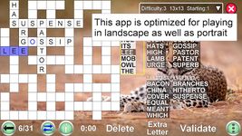 Woord vul puzzel screenshot APK 17