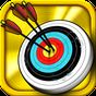 Biểu tượng apk Archery Tournament