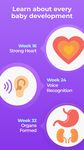 Tangkap skrin apk Pregnancy Tracker & Baby App 4