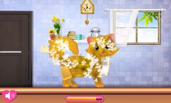 Kitty Grooming Salon imgesi 7