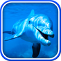 Delphin Live Hintergrund APK