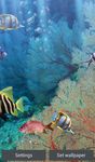 Die echten aquarium - HD Screenshot APK 6