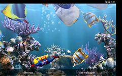 Die echten aquarium - HD Screenshot APK 4