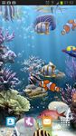 Die echten aquarium - HD Screenshot APK 20