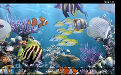 Hồ cá thực - HD ảnh màn hình apk 9