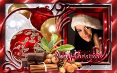 Christmas Photo Frames 2 screenshot apk 5