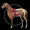 Horse Anatomy: Equine 3D 
