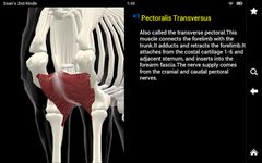 Horse Anatomy: Equine 3D screenshot apk 10