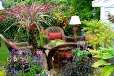 Garden Design Ideas afbeelding 3