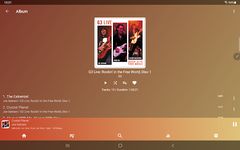 USB Audio Player PRO ảnh màn hình apk 21