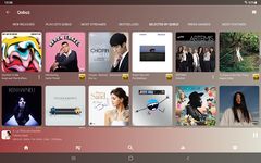 ภาพหน้าจอที่ 13 ของ USB Audio Player PRO