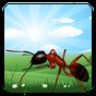 Иконка Ant Farm
