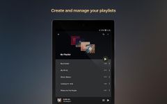 Equalizer + mp3 Çalar Volume ekran görüntüsü APK 11