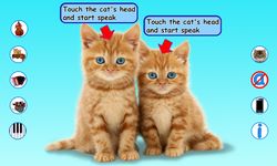 Konuşan Kediler imgesi 7