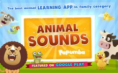 Captură de ecran Animal Sounds apk 12