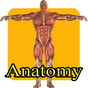 Aprender anatomia humana niños APK
