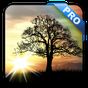 Icône de Sun Rise Pro Live Wallpaper